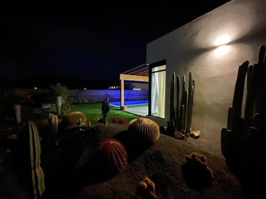 לה אוליבה Bungalow + Piscina Independiente מראה חיצוני תמונה